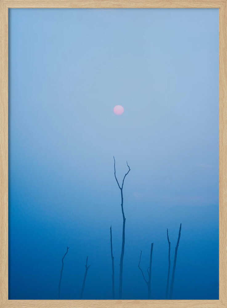 melancholy Poster