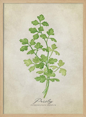 Parsley vintage Poster