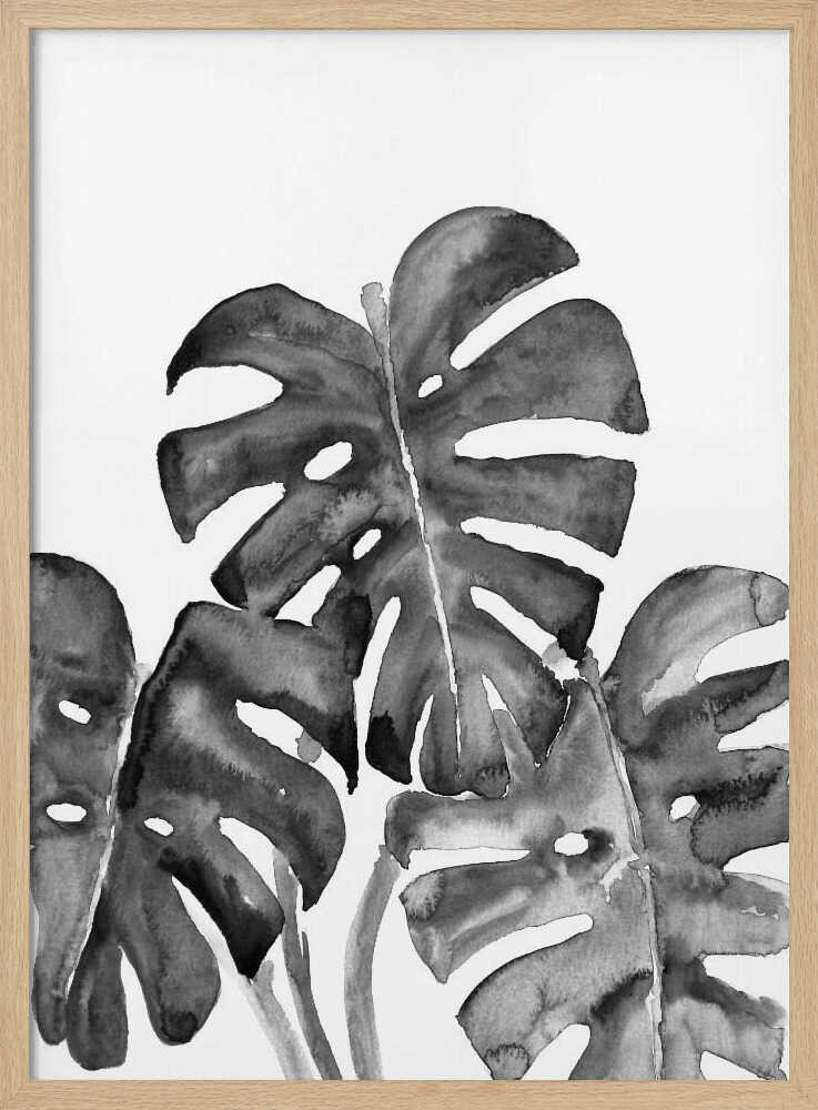 Monstera leaves in loose watercolor bw Poster