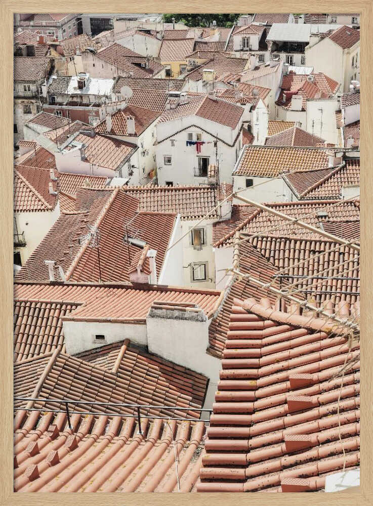 Red Tiled Rooftops Poster