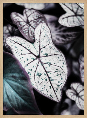 Whispers of Leaves Poster