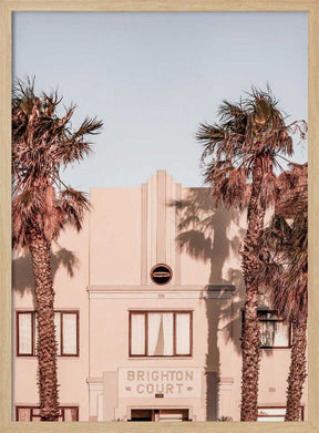 Palm Shadows Poster
