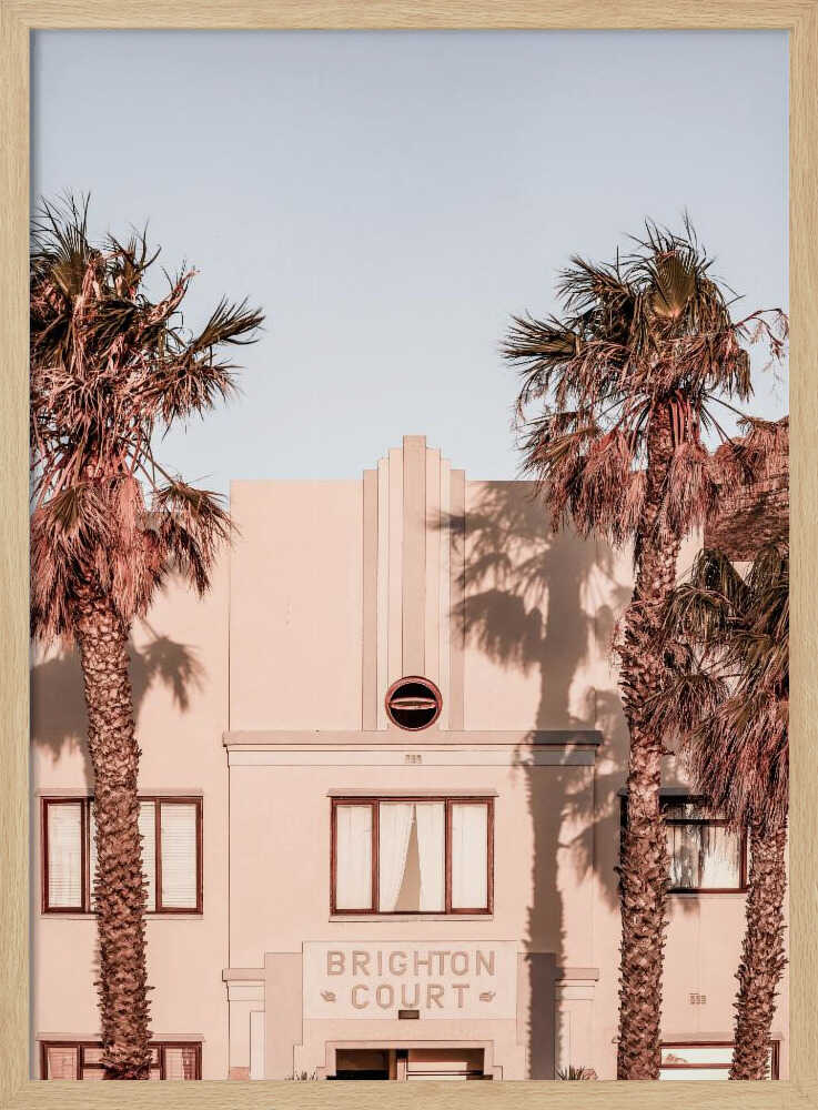 Palm Shadows Poster