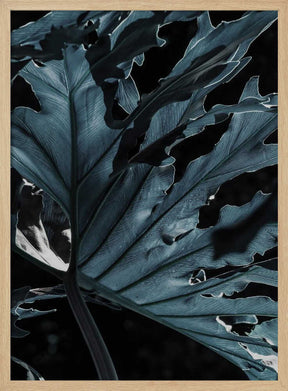 Leafy Shadowscape Poster
