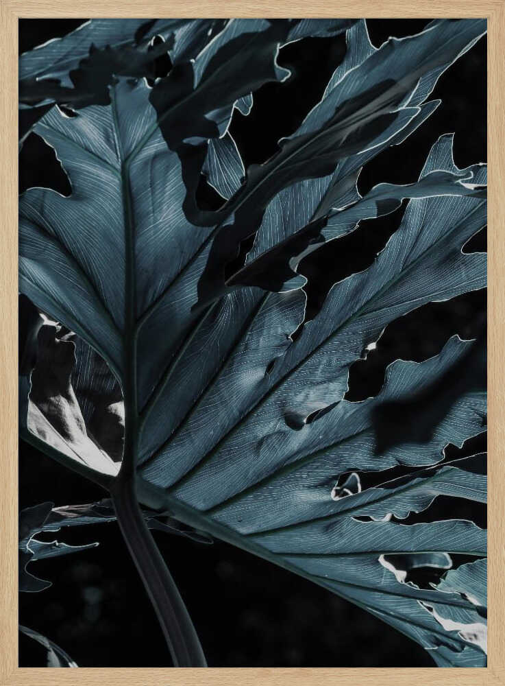 Leafy Shadowscape Poster