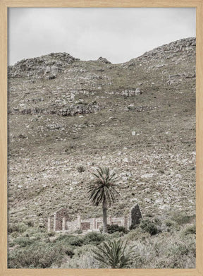 Lonely Ruins Poster