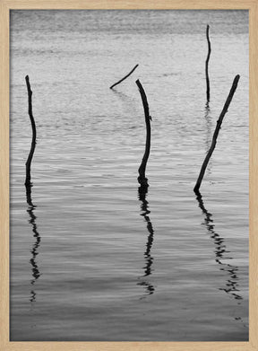 Silent Reflections Poster