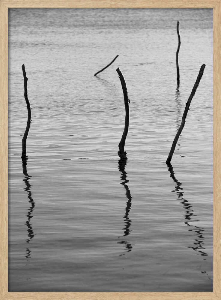 Silent Reflections Poster