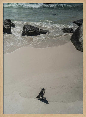 Lonely Beach Stroll Poster