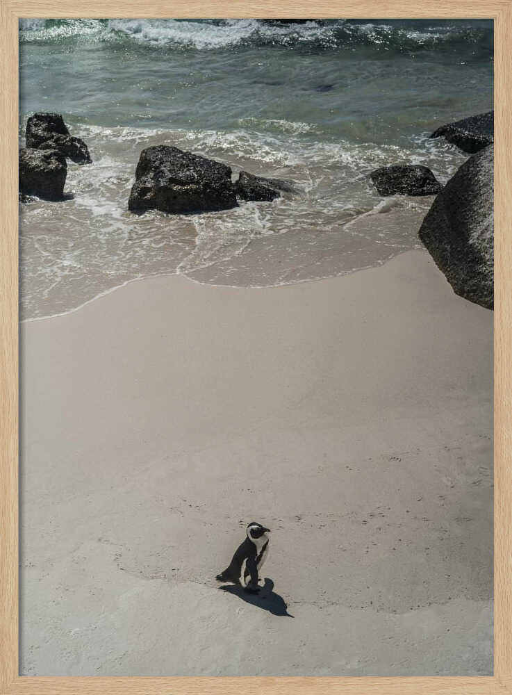 Lonely Beach Stroll Poster