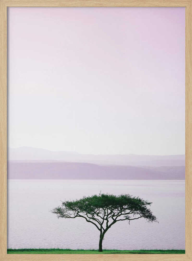 Tree By A Tranquil Lake Poster
