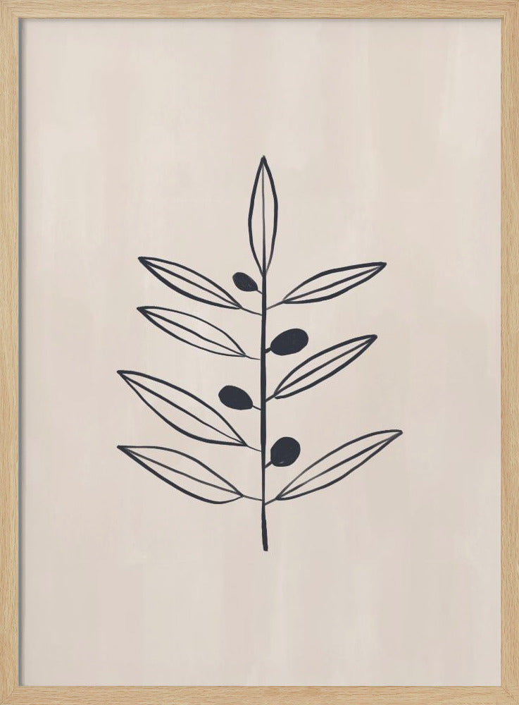 Olive Branche Poster