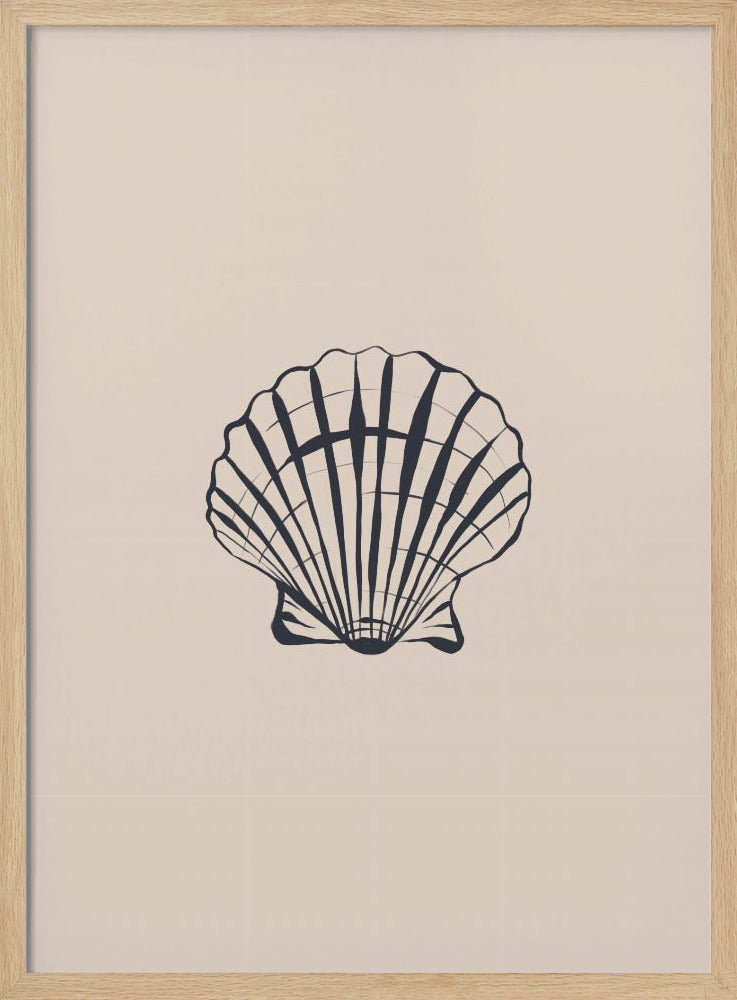 Seashell Poster