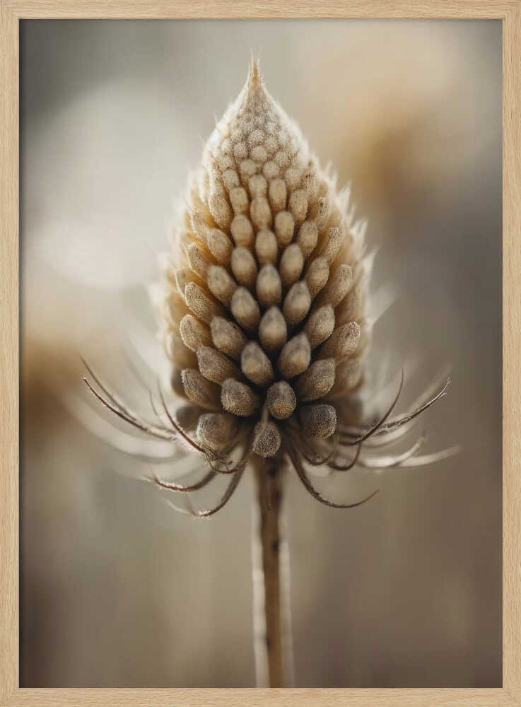 Budding Elegance Poster
