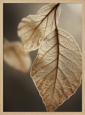 Ethereal Leaves Poster
