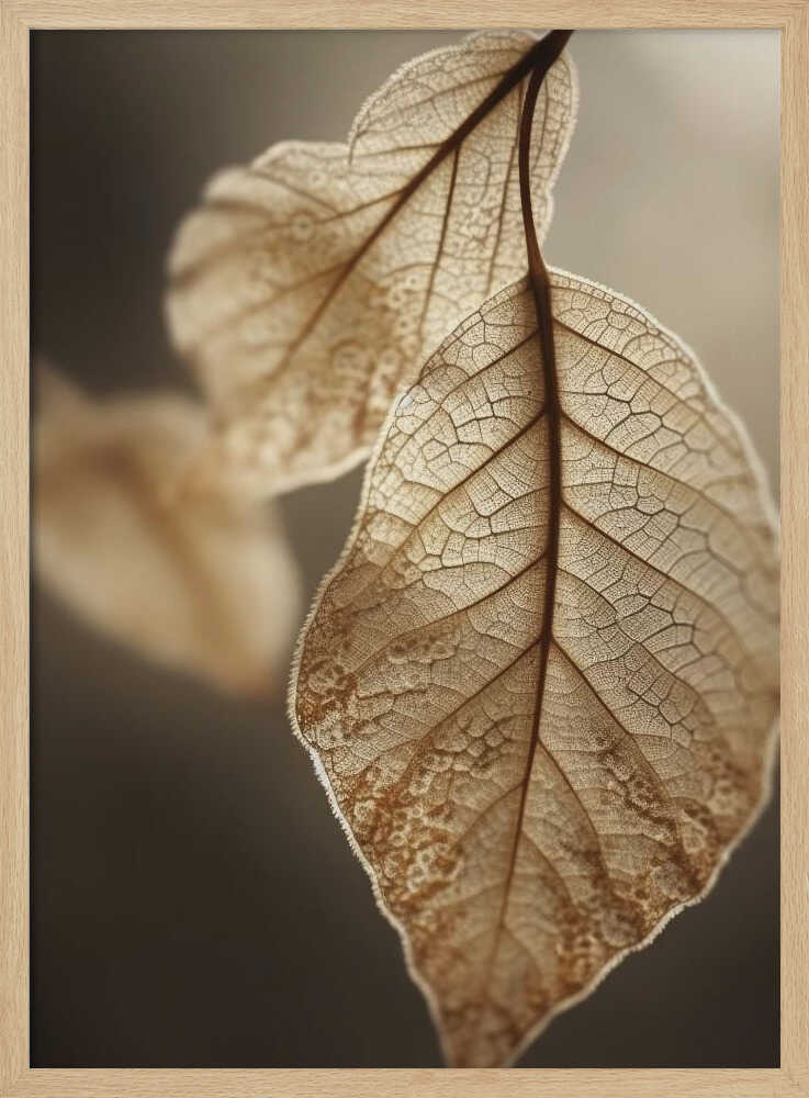 Ethereal Leaves Poster