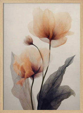 Ethereal Blooms Poster