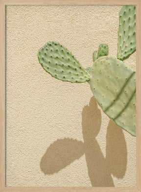 Cacti Shadowplay Poster