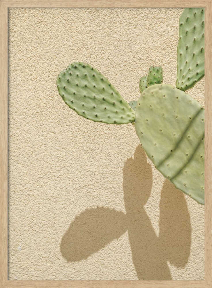 Cacti Shadowplay Poster