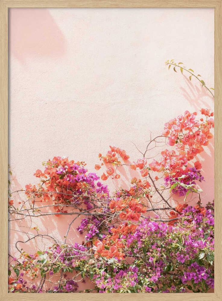 Pink Summer Poster