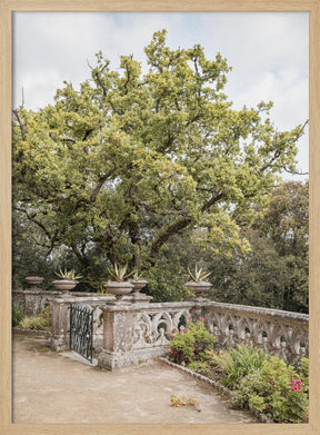 Botanical Garden Poster