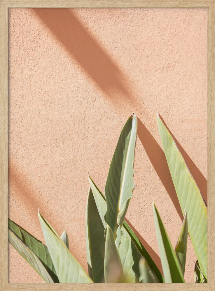 Botanical Pastels Poster