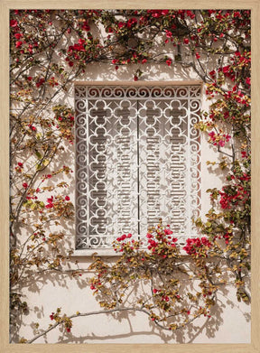 The Red Frame Poster