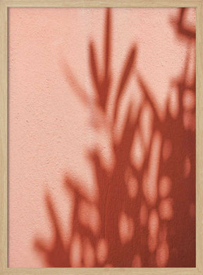 Shadows Poster