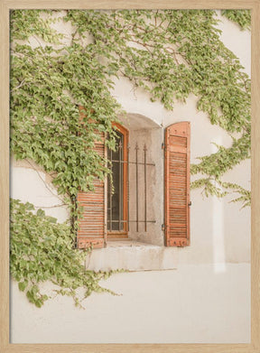 French Shutters Poster