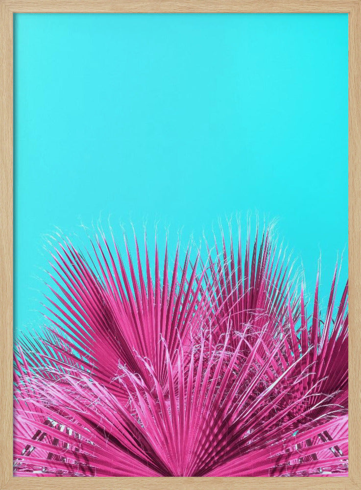 Electric Pink Palm Fronds