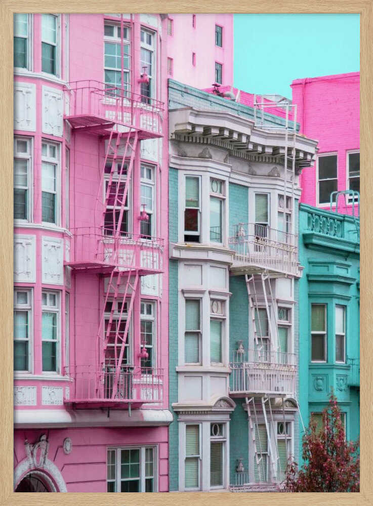 Pink and Blue Row Houses in San Francisco Poster