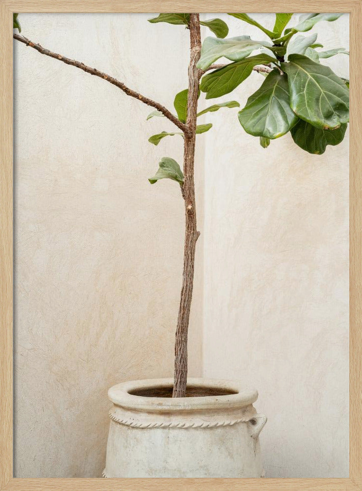 Tree In a Pot Poster