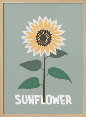 Sunflower Poster