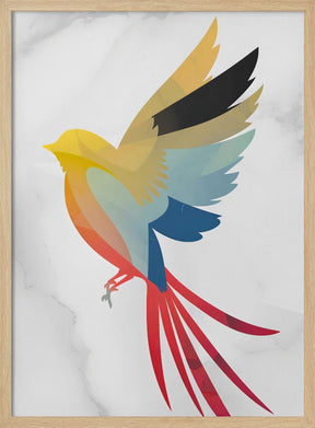 Colorful Bird Poster