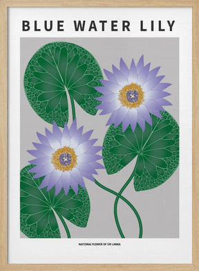 Blue Water Lily - National flower of Sri Lanka Poster