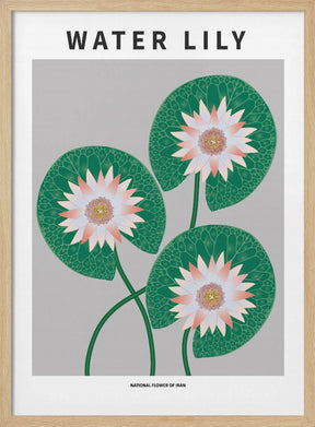 Water Lily - National flower of Iran Poster