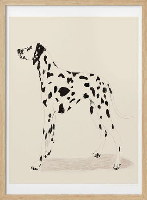 Pandc Dalmation Poster