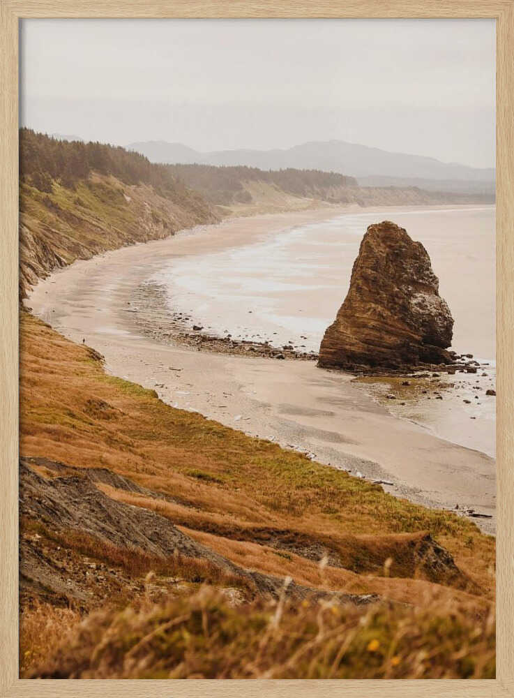 The Oregon Coast Poster