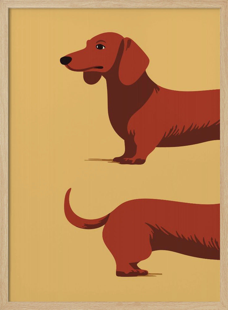 Dachshund Poster