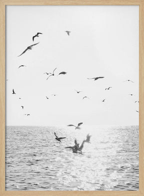 Seagulls At Sea Poster