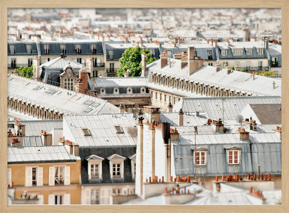 Paris Rooftops Poster