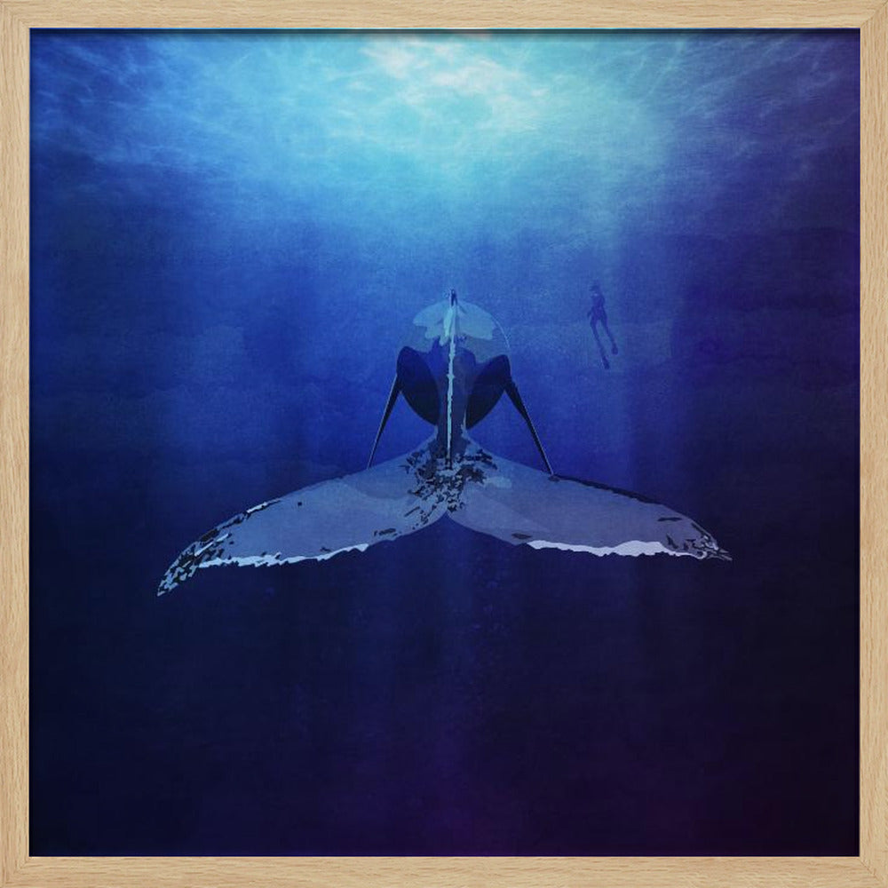 Whale Poster