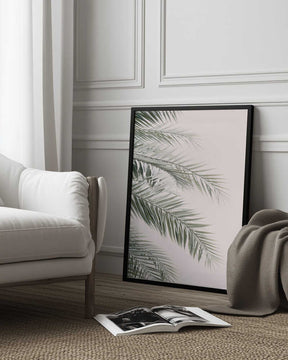 Blush Palm Leaves Poster