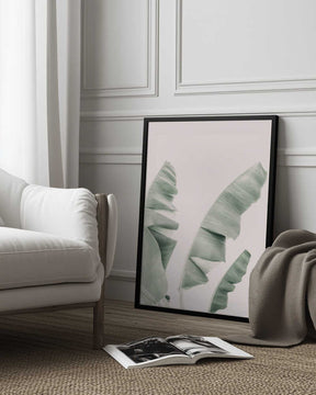 Blush Banana Leaves Poster