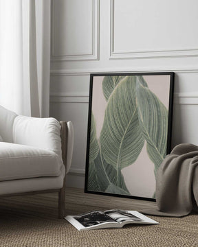 Calla Leaf Poster