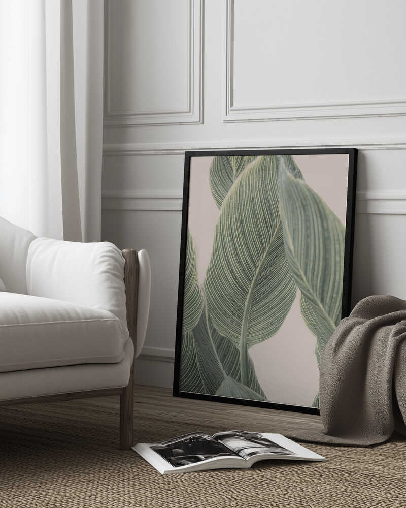 Calla Leaf Poster