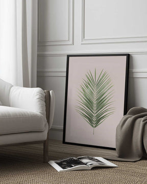 Palm Leaf Blush Poster