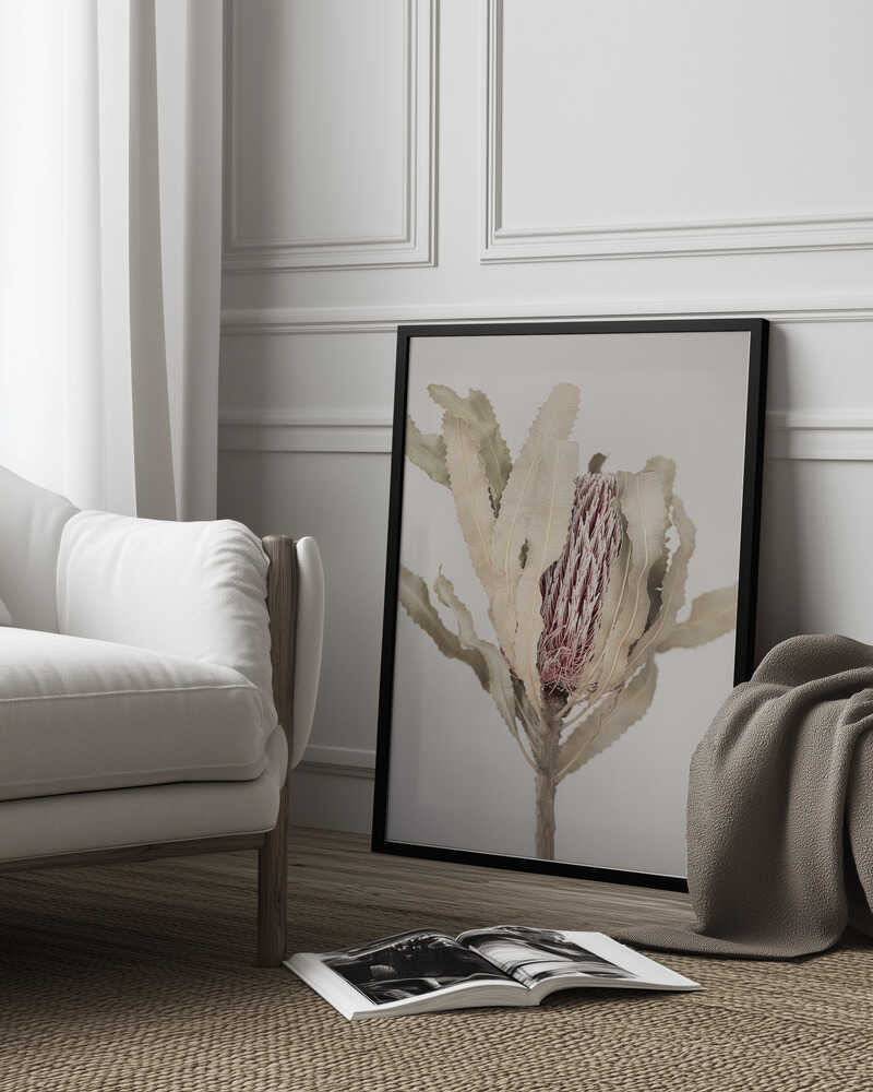 Banksia Poster