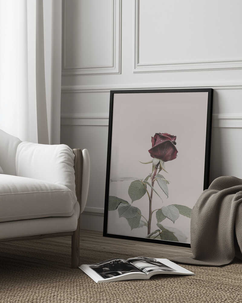 Rose Poster