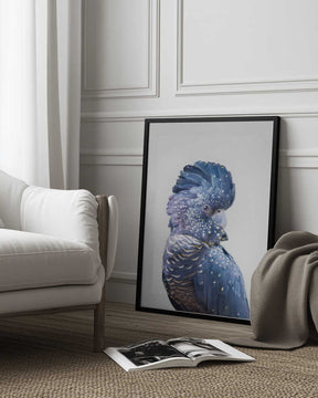 Black Cockatoo Poster
